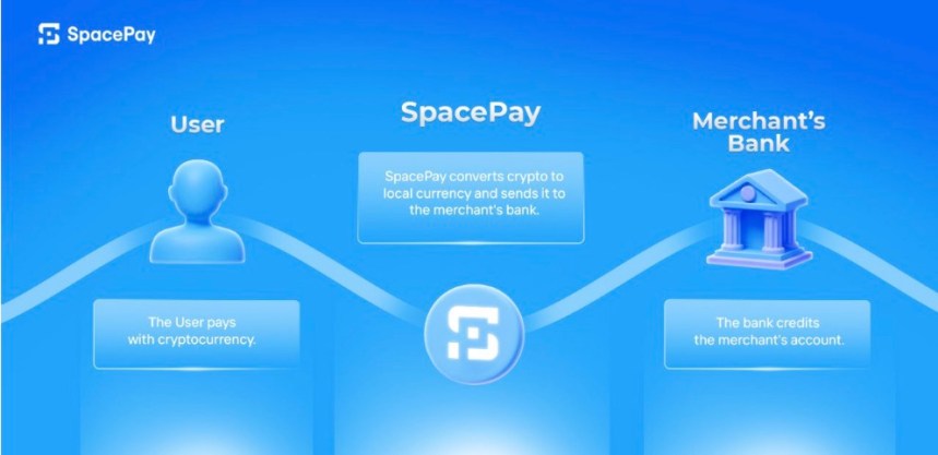 El Lado de los Tokens $SPY